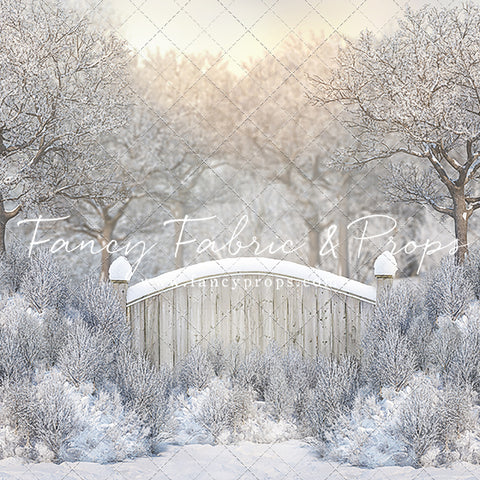 Icy Winter Gate