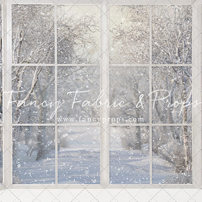 Morning Snowy Bay View