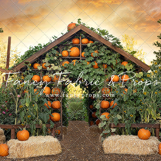 Pumpkin House