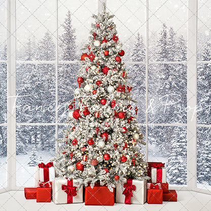 Red & White Winter Evergreens