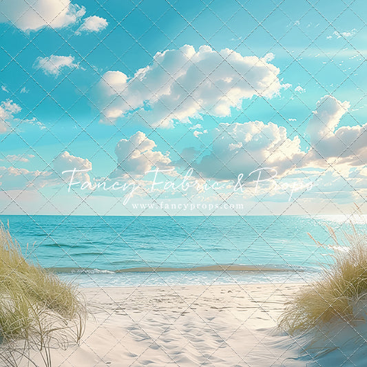 Seaside Drift Path - With Sweep Option