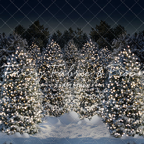 Evening Snowy Winter Tree Farm - No Gate