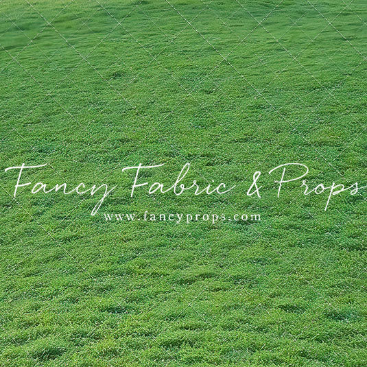 Willow Lake Grass - Floor