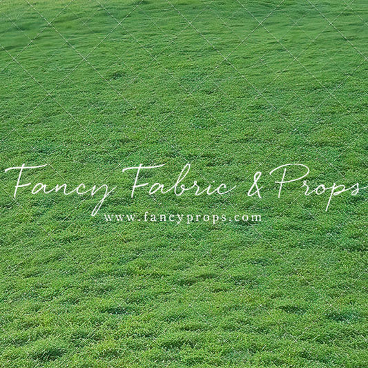 Willow Lake Grass - Mat Floor