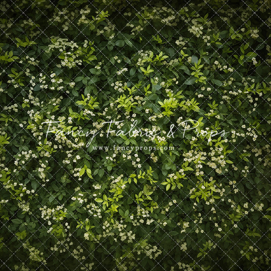 Lush Garden Greens - Petite