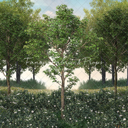 Spring Morning Meadow