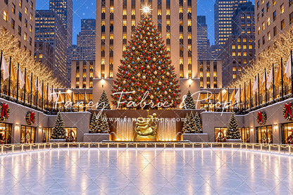 Wintertime Skating Rink - with Sweep Option