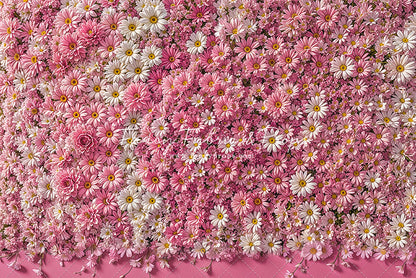 Blush Blossom Wall - With Sweep Option