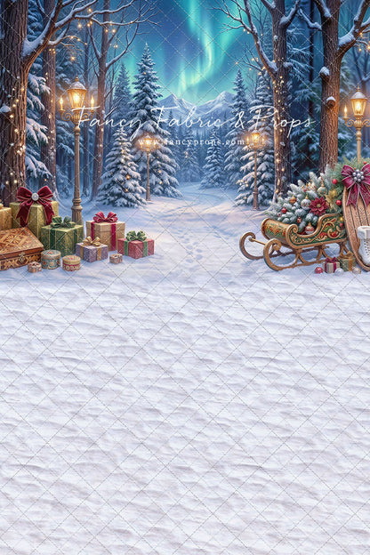 Aurora Winter Walk - with Sweep Option