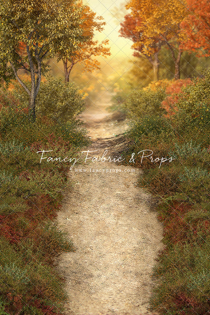 Autumn Forest Path - With Sweep Option