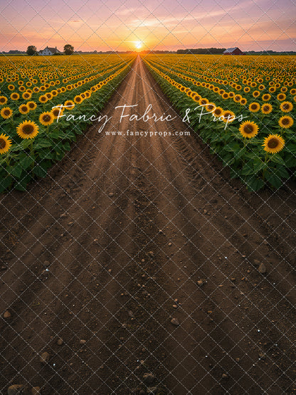Sunflower Road - With Sweep Option