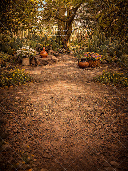 Sunlit Cactus Garden - With Sweep Option