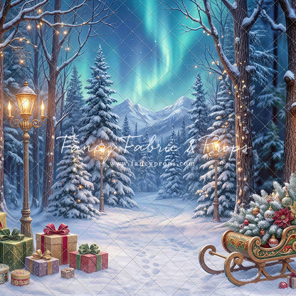 Aurora Winter Walk - with Sweep Option