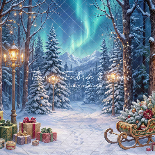 Aurora Winter Walk - with Sweep Option