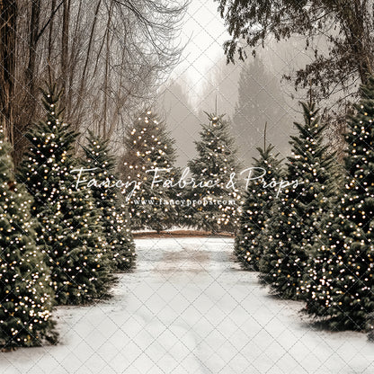 Country Pines Tree Farm - Room