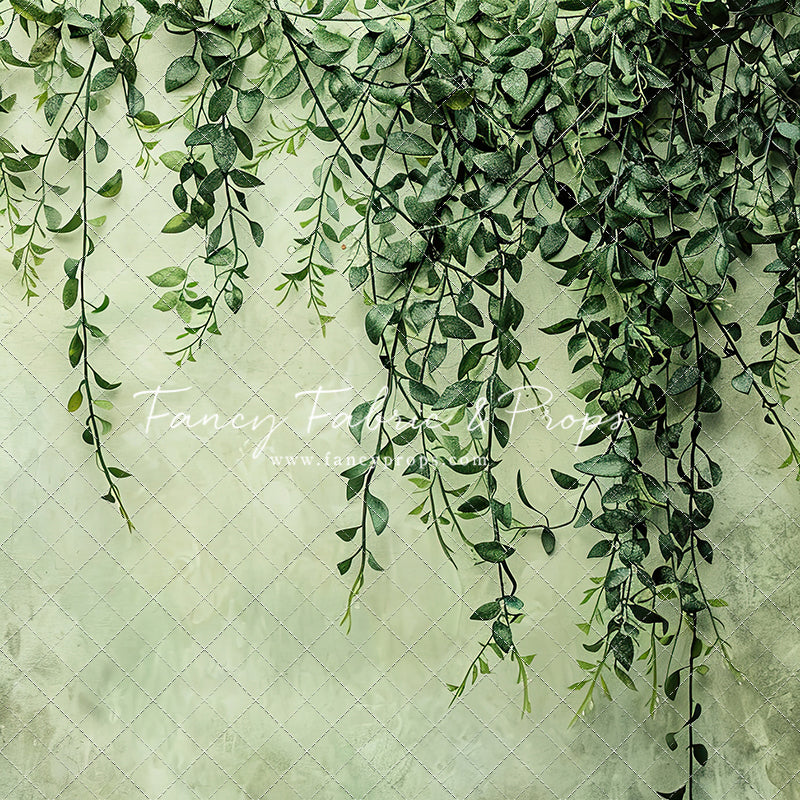 Painted Myrtle - Petite