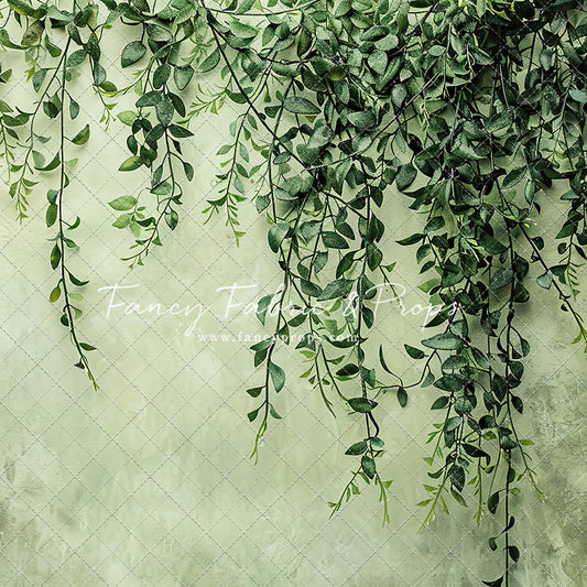 Painted Myrtle - Petite