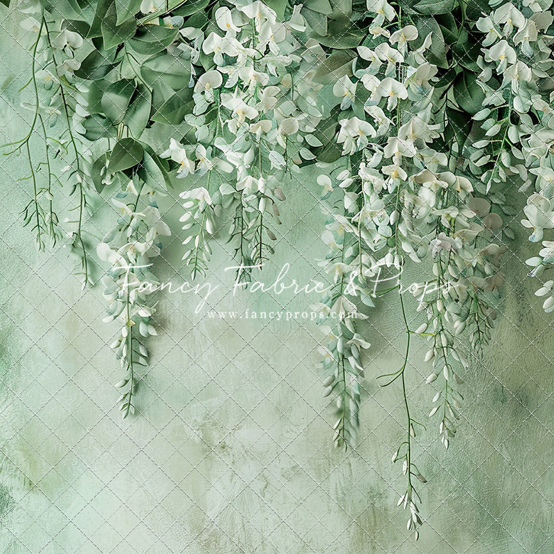 Painted White Wisteria