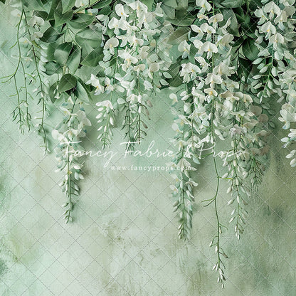 Painted White Wisteria
