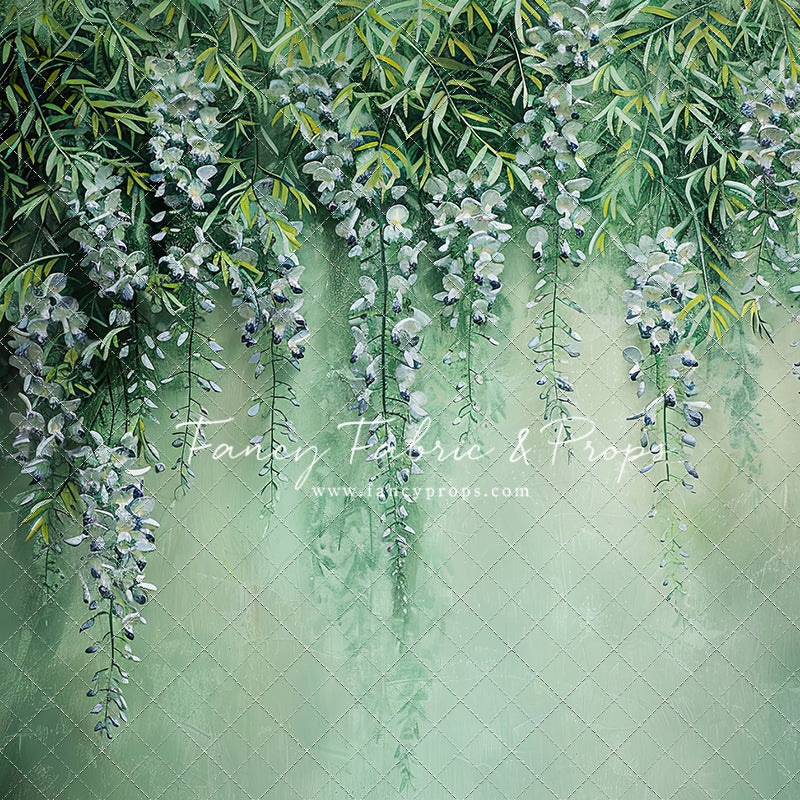 Painted Wisteria - Petite