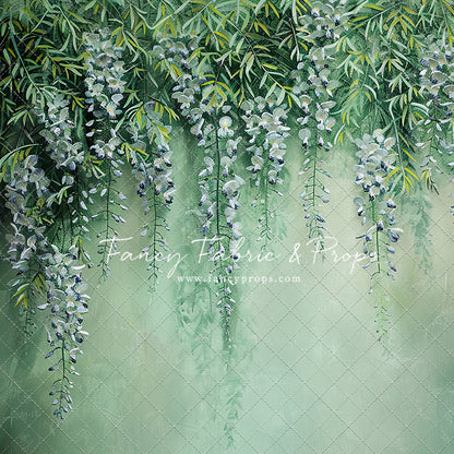 Painted Wisteria - Petite