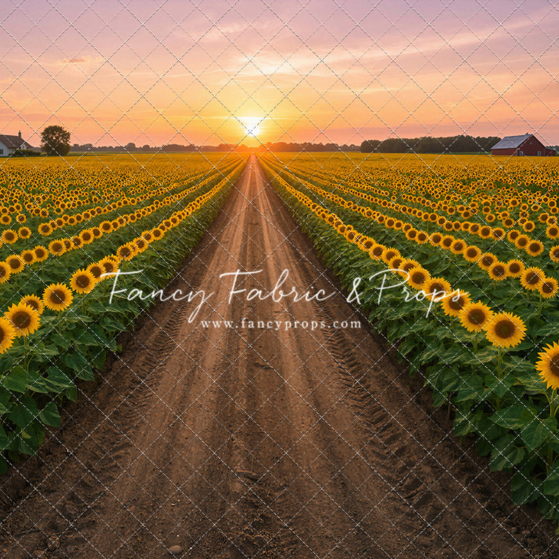 Sunflower Road - With Sweep Option