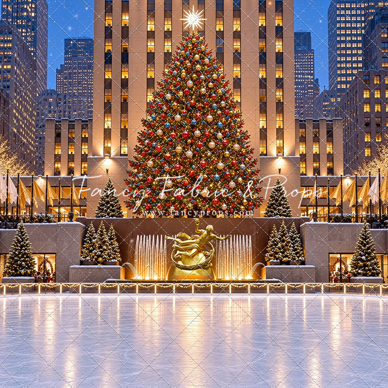 Wintertime Skating Rink - with Sweep Option