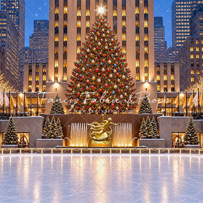 Wintertime Skating Rink - with Sweep Option