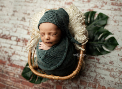 St Louis Brick Wall - Petite