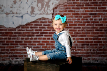 Los Angeles Brick Wall