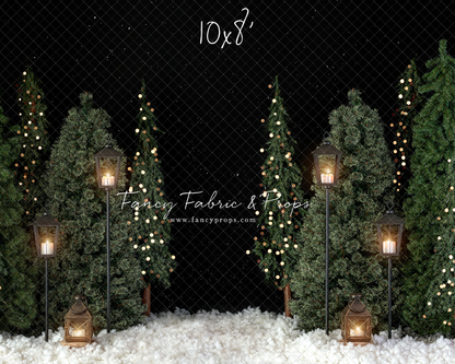 Merry Cabin 2pc Room