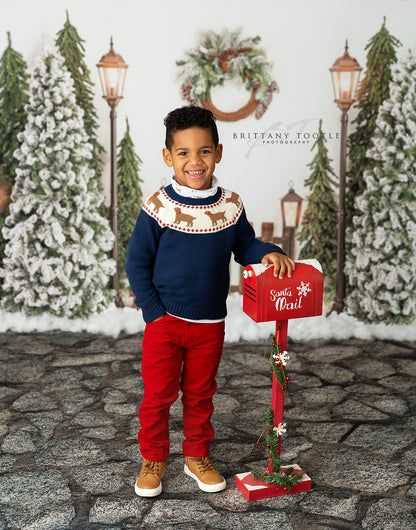 Snowy Holiday Park 2pc Mini Room