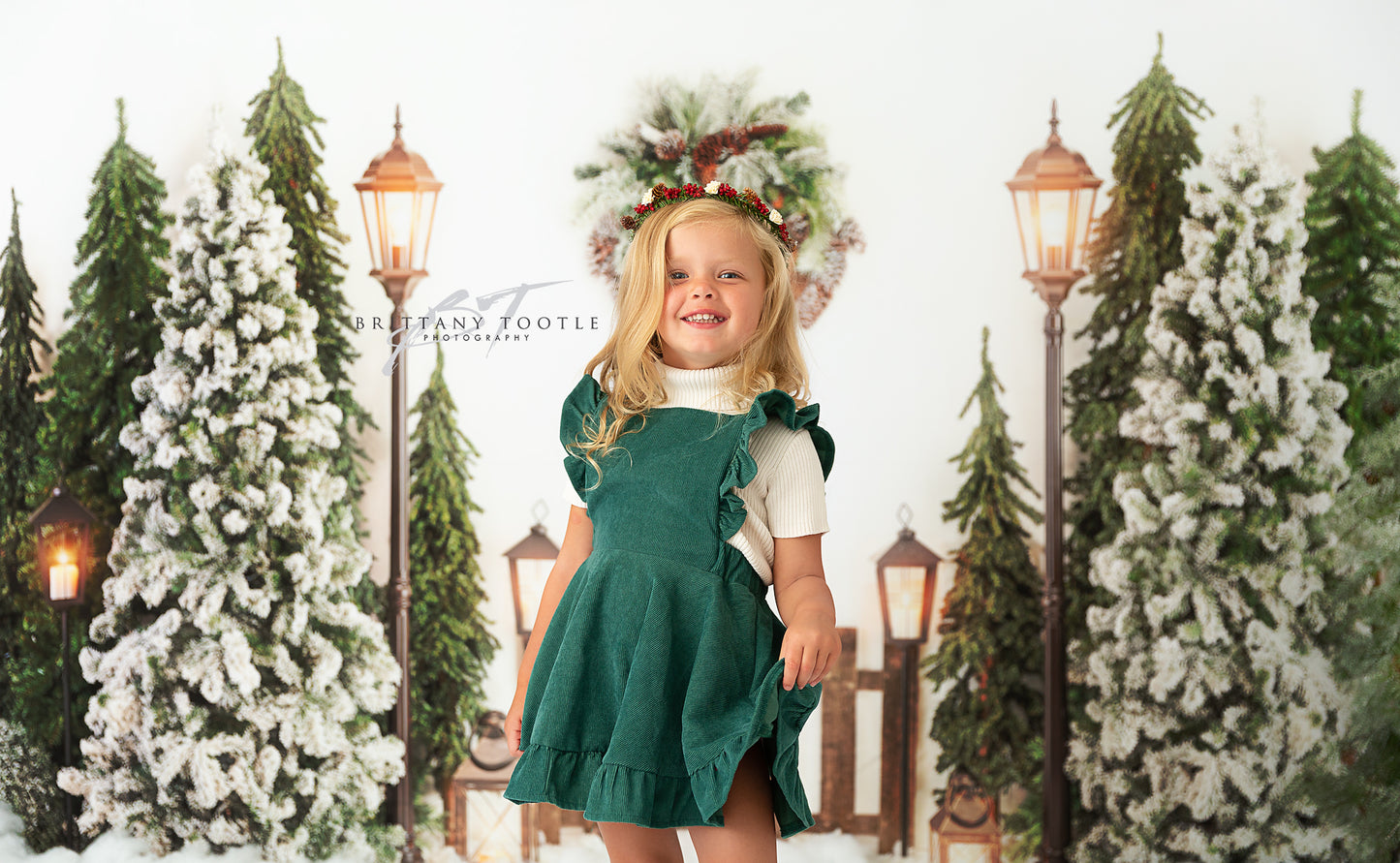 Snowy Holiday Park 2pc Mini Room