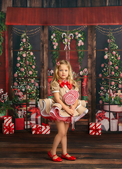 Santa's Window Shop Room