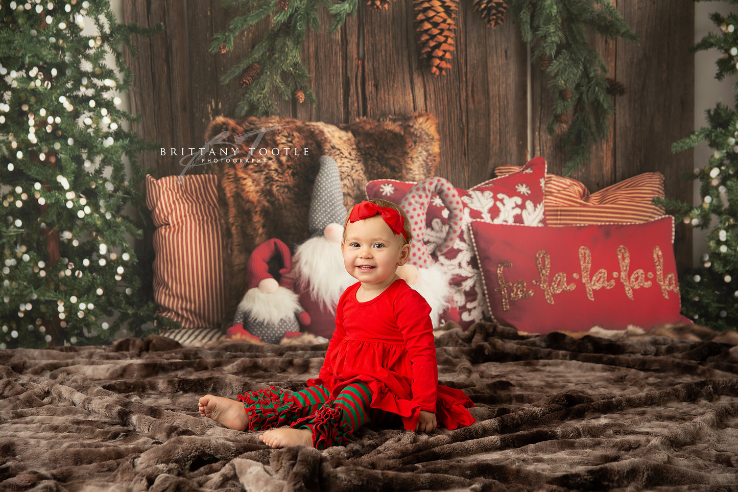 Gnome For The Holidays