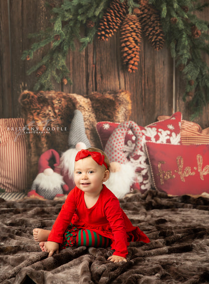 Gnome For The Holidays