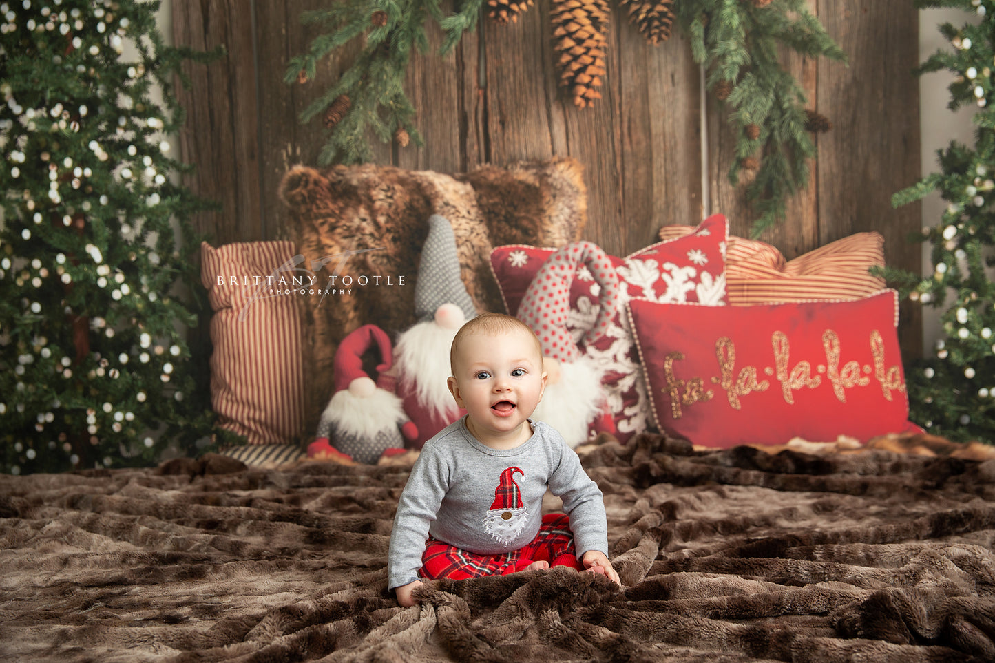 Gnome For The Holidays