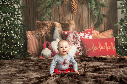 Gnome For The Holidays