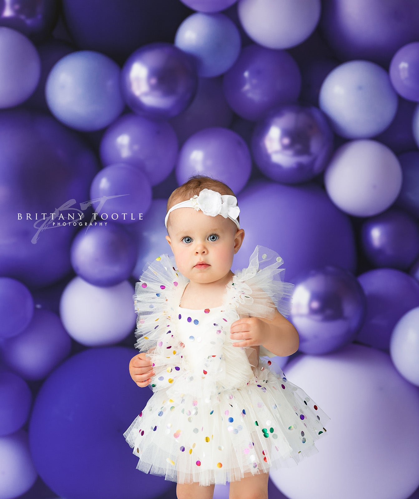 Shades of Lavender Balloon Wall
