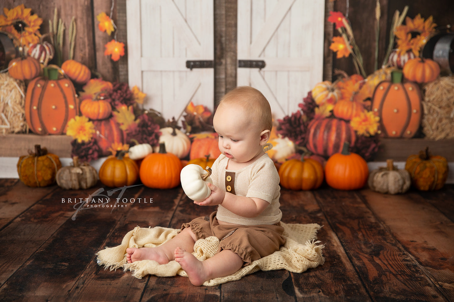 Bountiful Autumn Harvest
