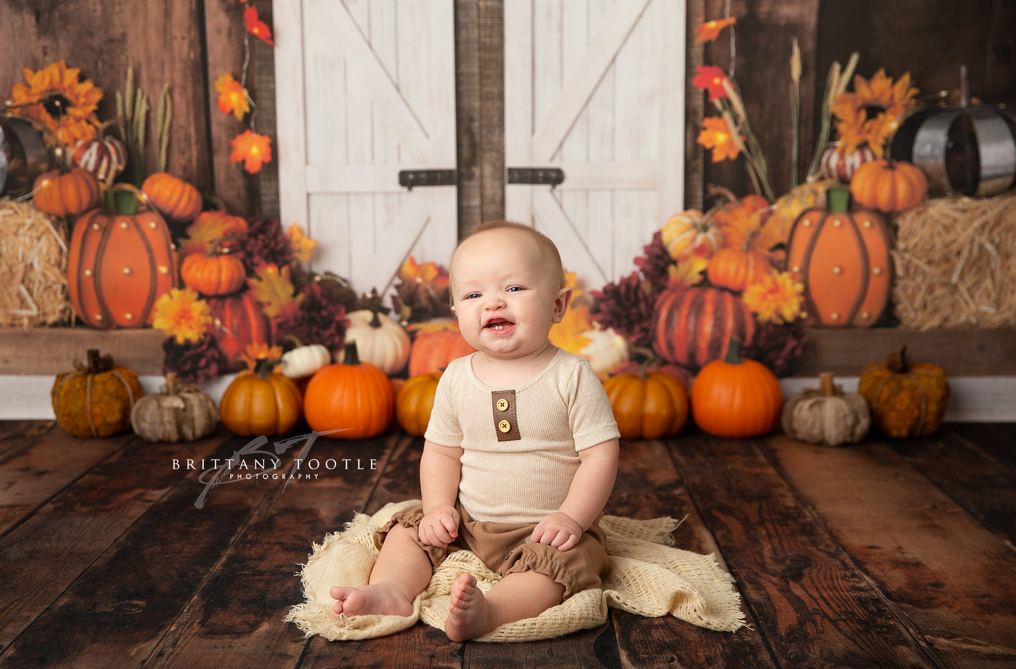 Bountiful Autumn Harvest