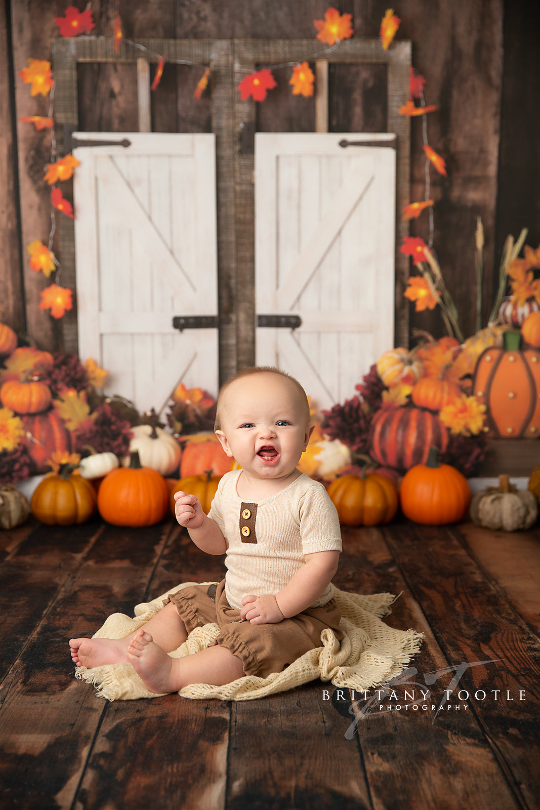 Bountiful Autumn Harvest