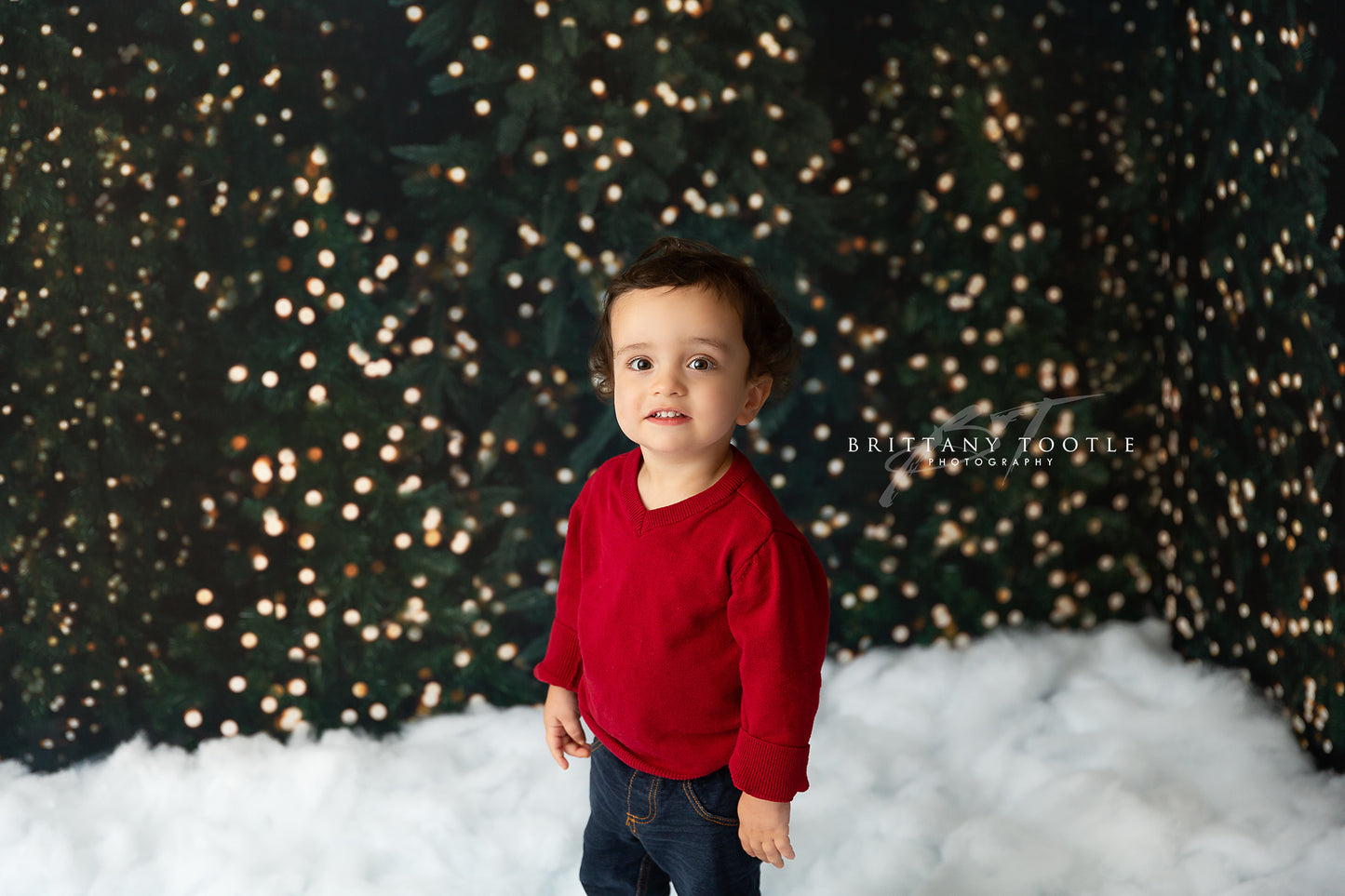 Snowy Christmas At The Cabin 2pc Mini Room