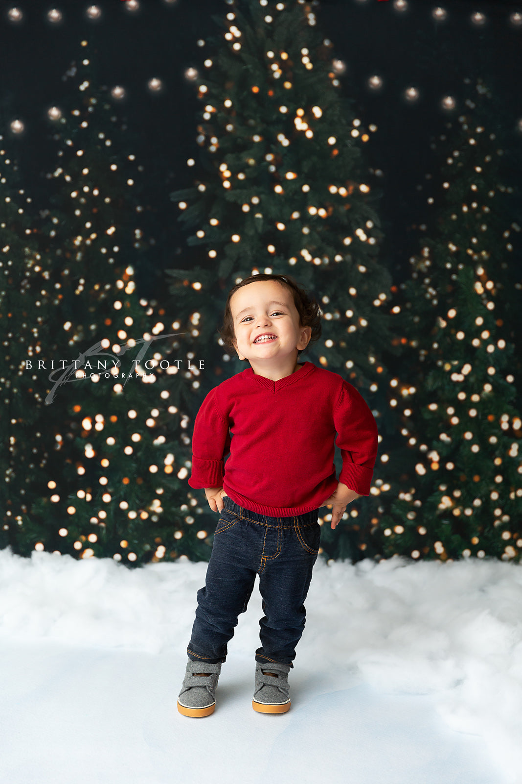 Snowy Evening At The Tree Farm