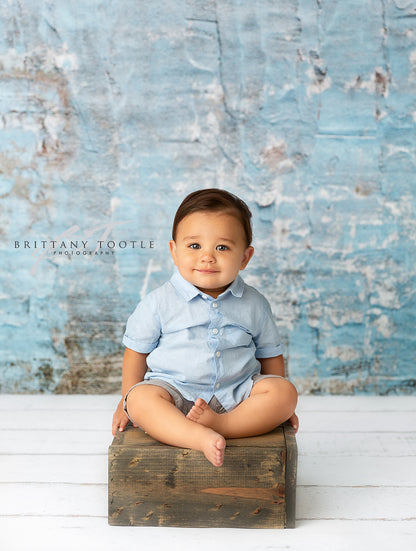 San Diego Brick Wall