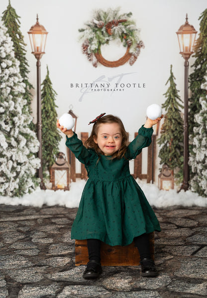 Snowy Holiday Park 2pc Mini Room