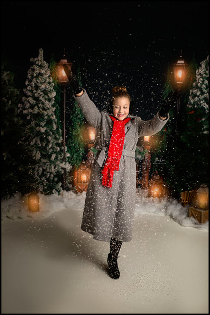 Evening Snowy Holiday Park 2pc Room