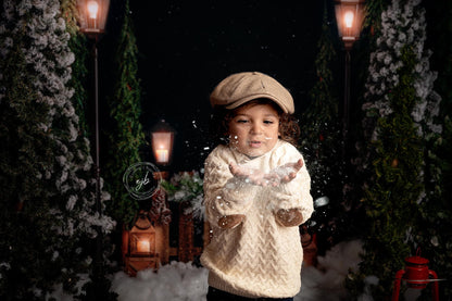 Evening Snowy Holiday Park 2pc Room