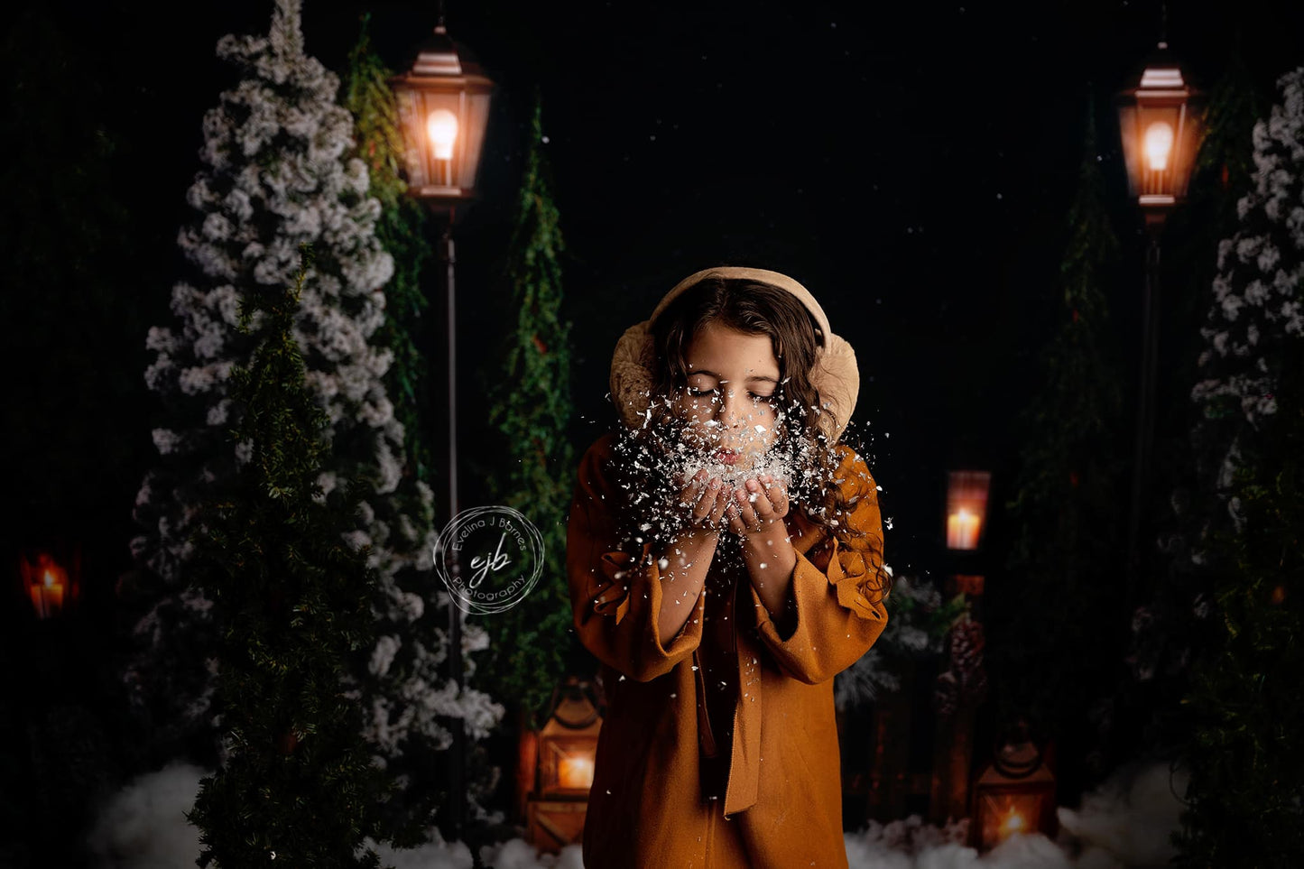 Evening Snowy Holiday Park 2pc Room