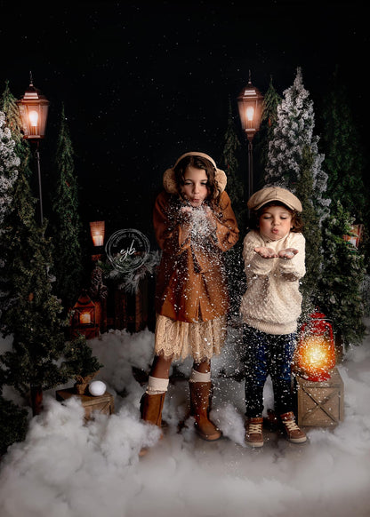 Evening Snowy Holiday Park 2pc Room